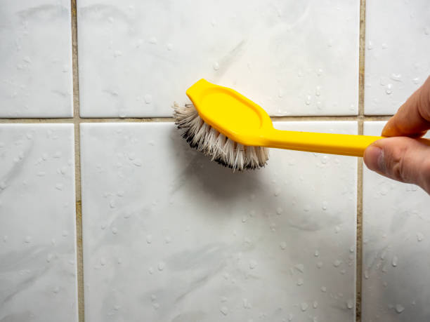 Best Toxic Mold Removal  in Fuller Heights, FL